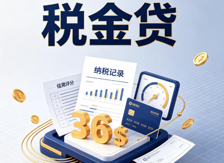 南京溧水企业税贷|南京溧水企业设备回租|南京溧水税贷过桥